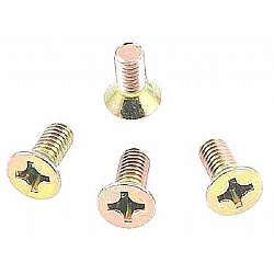 1965-1970 DOOR STRIKER PLATE MOUNT SCREWS